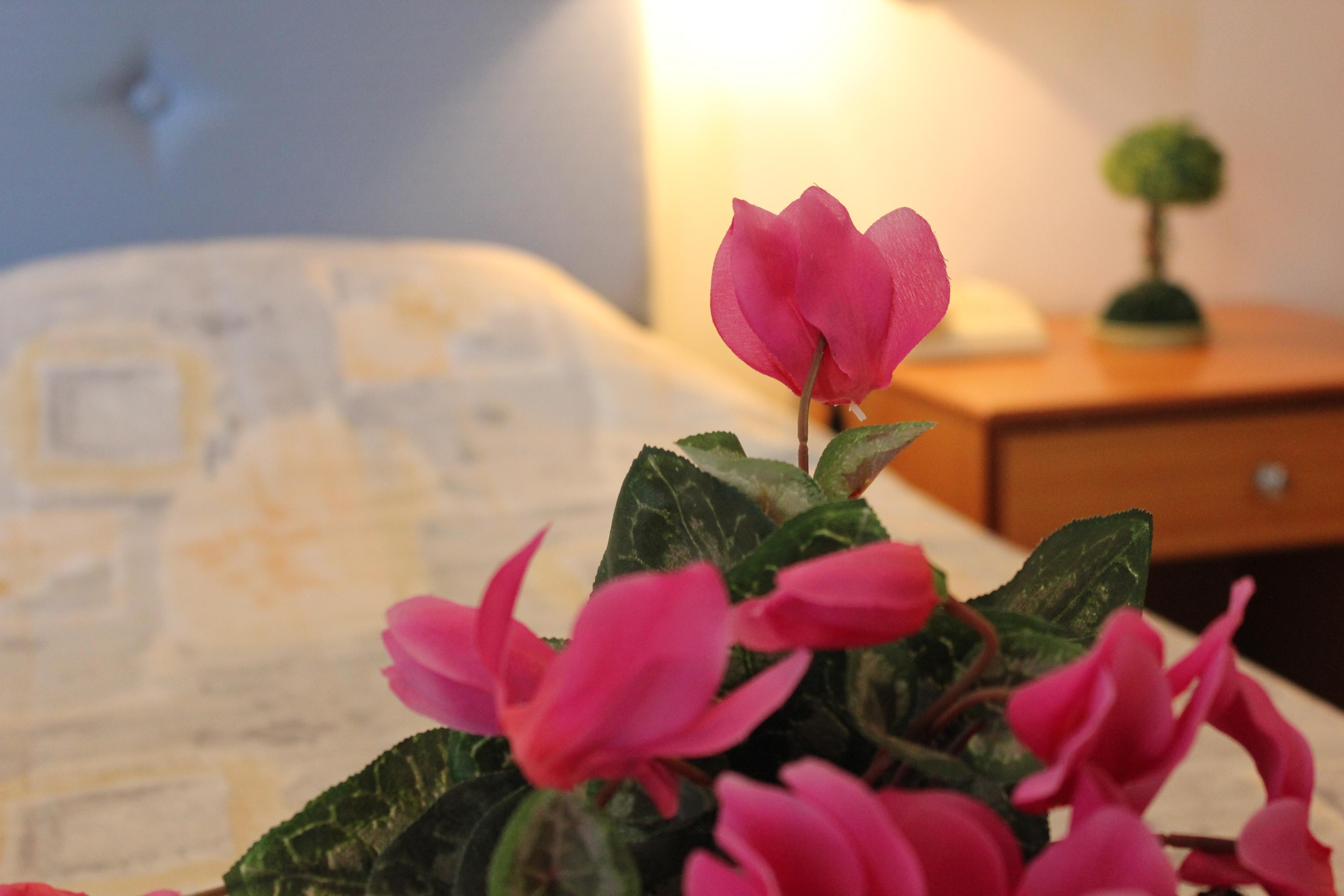 Filmar Hotel, Ixia, Rhodes Ngoại thất bức ảnh