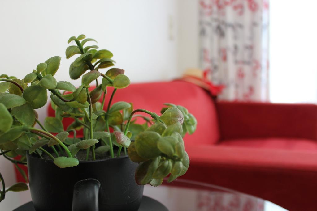 Filmar Hotel, Ixia, Rhodes Ngoại thất bức ảnh